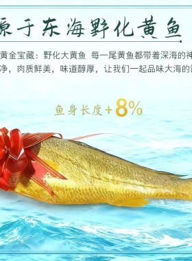鼎盛鸿野化黄鱼礼盒馈赠长辈佳品