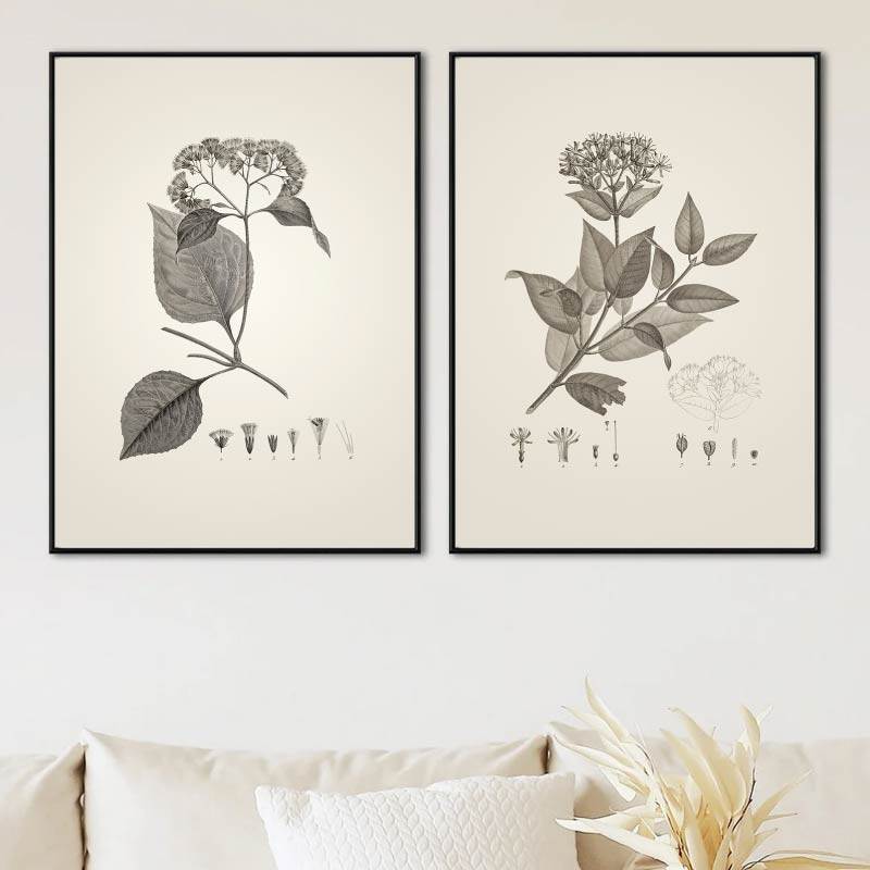 植物素描图谱ins简约现代叶子客厅卧室油画布画芯拼套组画装饰画