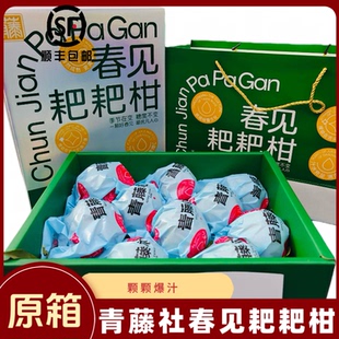 青藤社春见耙耙柑7斤礼盒装纯甜丑桔橘子新鲜当季水果顺丰包邮