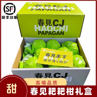 日本原种耙耙柑春见礼盒7斤装新鲜橘子当季孕妇水果杷杷柑包邮