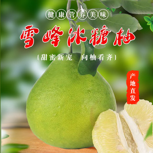 正宗安江冰糖柚湖南雪峰柚子老树安福蚕子小甜苦柚5斤新鲜