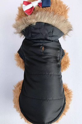 小型犬比熊博美加厚背心狗狗衣服