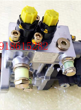 中国重汽高压共轨油泵CB3E916A原装原厂主机配套