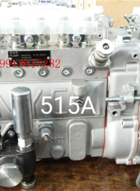 南岳电控衡阳喷油泵总成B6AD515A维柴BH6AD100R发电机康明斯油泵