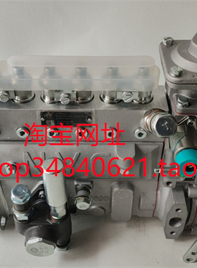 潍柴道依茨喷油泵南岳电控衡阳机械大泵B6AD548G-R