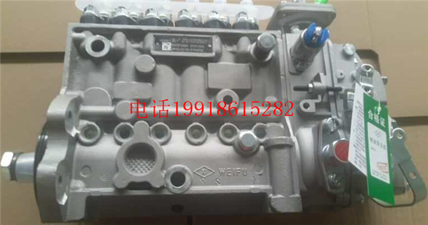 原厂无锡威孚6PH725广西康明斯6CTA9.3C215喷油泵总成BHF6P120060
