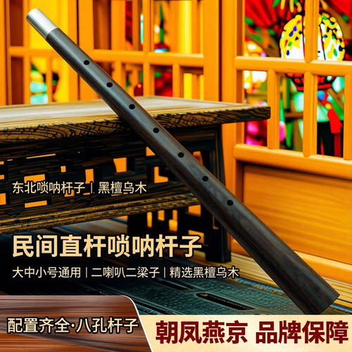 朝凤燕京东北唢呐专业校音