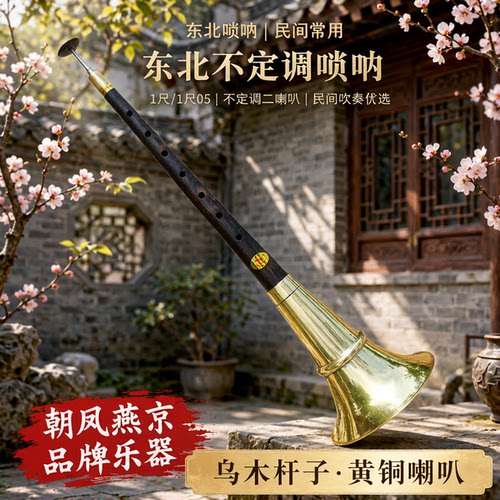 不定调朝凤燕京东北唢呐真材实料