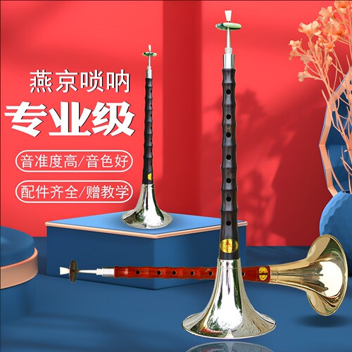 朝凤燕京标准校音唢呐配置齐全