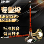 唢呐乐器初学者专业花梨木儿童小号d调e调百鸟朝凤锁呐成人降b调
