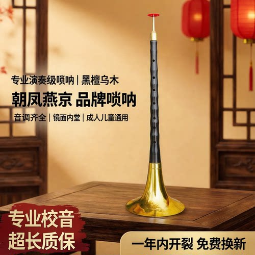 演奏级镜面堂专业大中小唢呐乐器