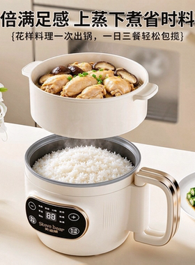110v伏电饭煲出口美国日本加拿大留学小型电火锅煮面小煮锅美日规