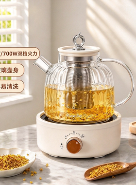 110v伏养生壶美国日本海外加拿大出国用全玻璃茶水分离烧水煮茶壶