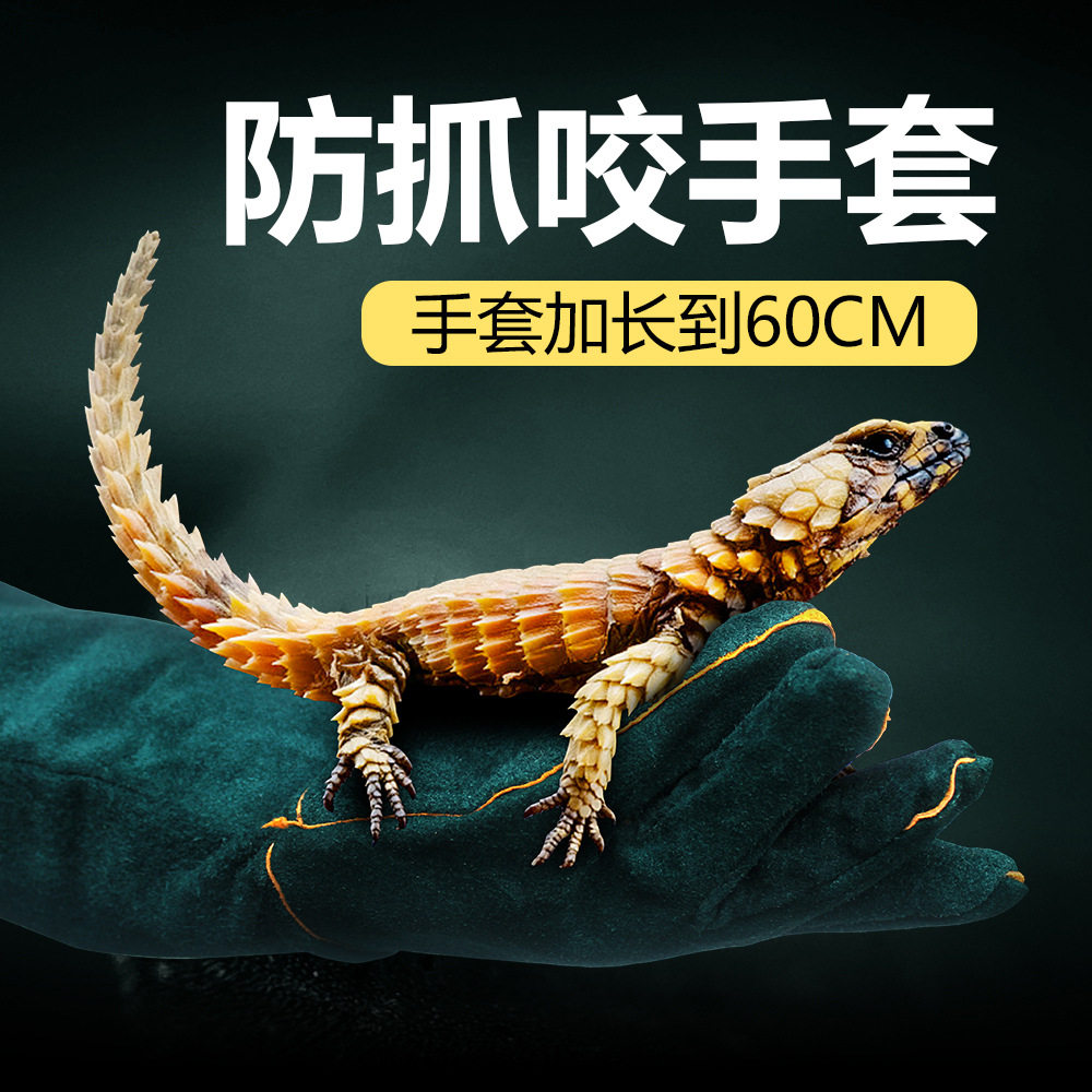 宠物防咬手套牛皮训犬加厚防咬猫蜥蜴防抓咬狗蛇防咬加长防护手套