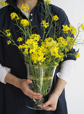 介直 Big Vase高透玻璃大号花瓶 法式中古感鲜切插花透明家居摆件