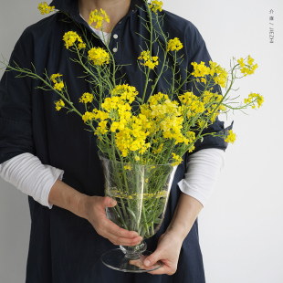 介直 Big Vase高透玻璃大号花瓶 法式中古感鲜切插花透明家居摆件