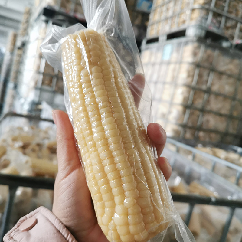 白糯玉米 东北米棒 粘苞米熟制真空玉米棒2.5kg一份 大棒饱满
