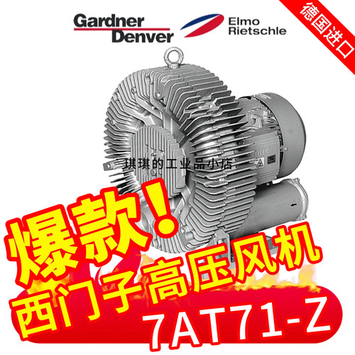 德国里其乐格南登福高压漩涡风机
