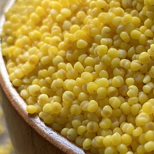 山海农人 辽宁朝阳大金苗 K1黄小米 2025年新粮农民自晒自磨