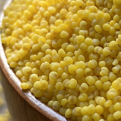 山海农人 辽宁朝阳大金苗 K1黄小米 2025年新粮农民自晒自磨