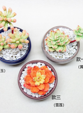 diy原创钩编染色多肉材料包配图解高清视频不适合新手三款一起学