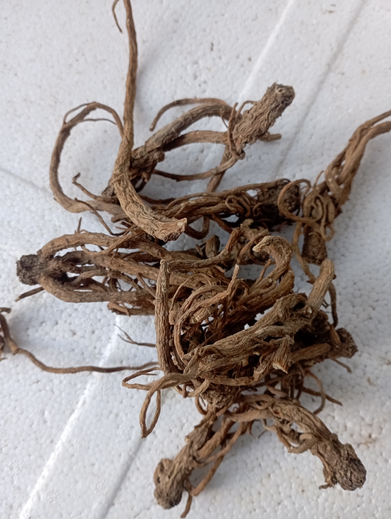 一斤小条当归500克水洗纯干无硫湖北恩施石灰窑地方初级农产品