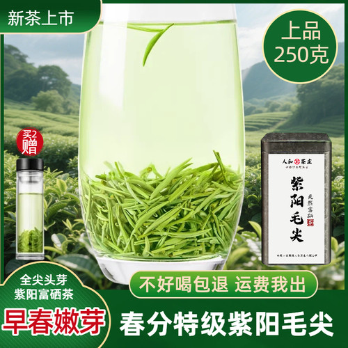 2026新茶早春嫩芽紫阳毛尖250g陕西安康紫阳富硒茶特级散装全芽尖