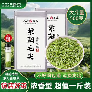 紫阳富硒茶2025新茶明前特级紫阳毛尖陕西安康自己喝茶叶散装绿茶