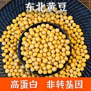 打豆浆做豆腐 幸福屯东北黄豆5斤 高蛋白非转基因大豆