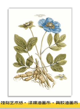 北欧风格植物芍药喷绘花卉装饰画