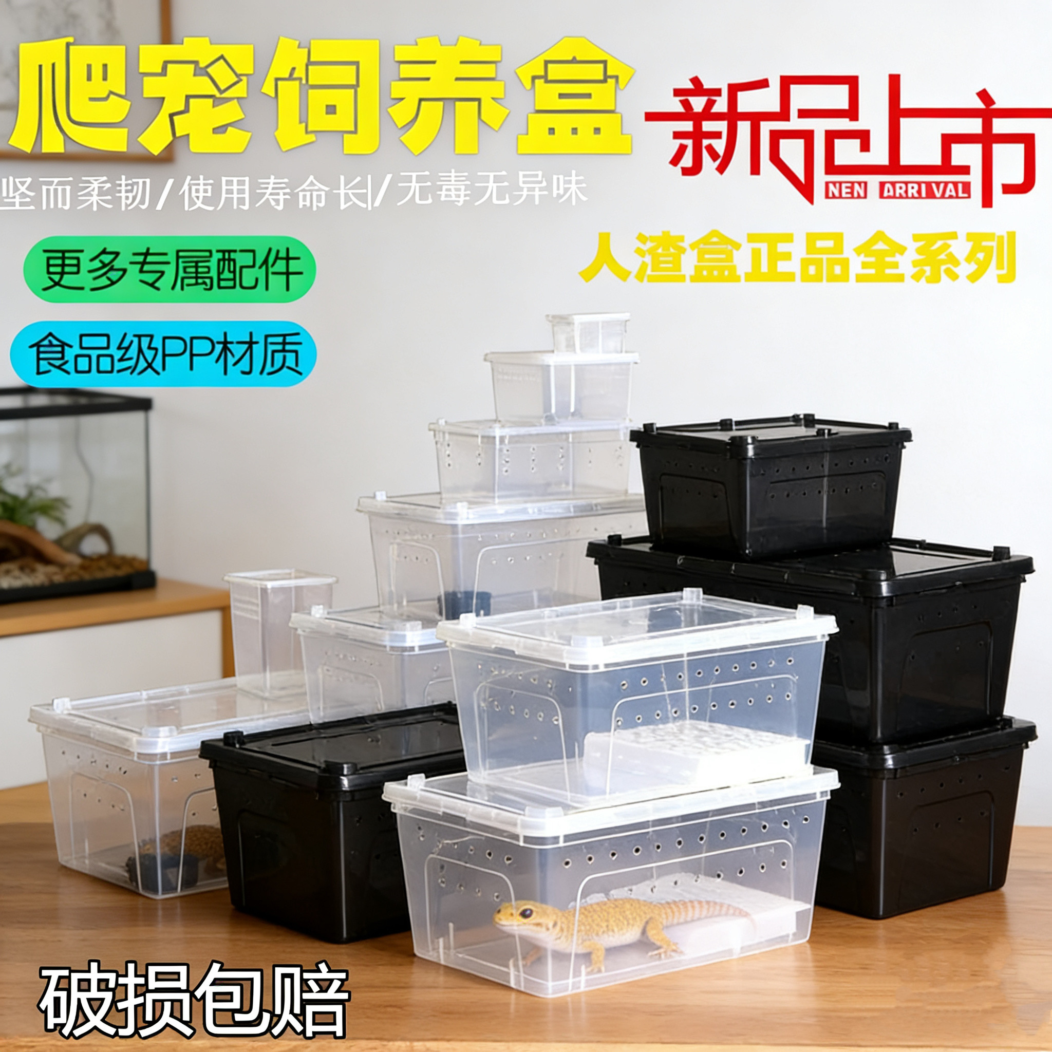 乌龟蜗牛螃蟹守宫爬宠箱