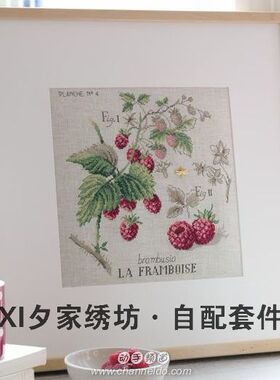 欧美风杂志 法国正品DMC十字绣自配套件 DFEA阴影花-覆盆子