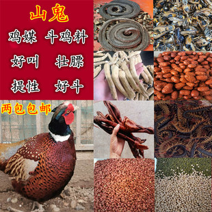 鸡媒专用饲料山鸡媒提性壮膘鸡食鸡料鸡媒专用料粮食长期毛色亮丽