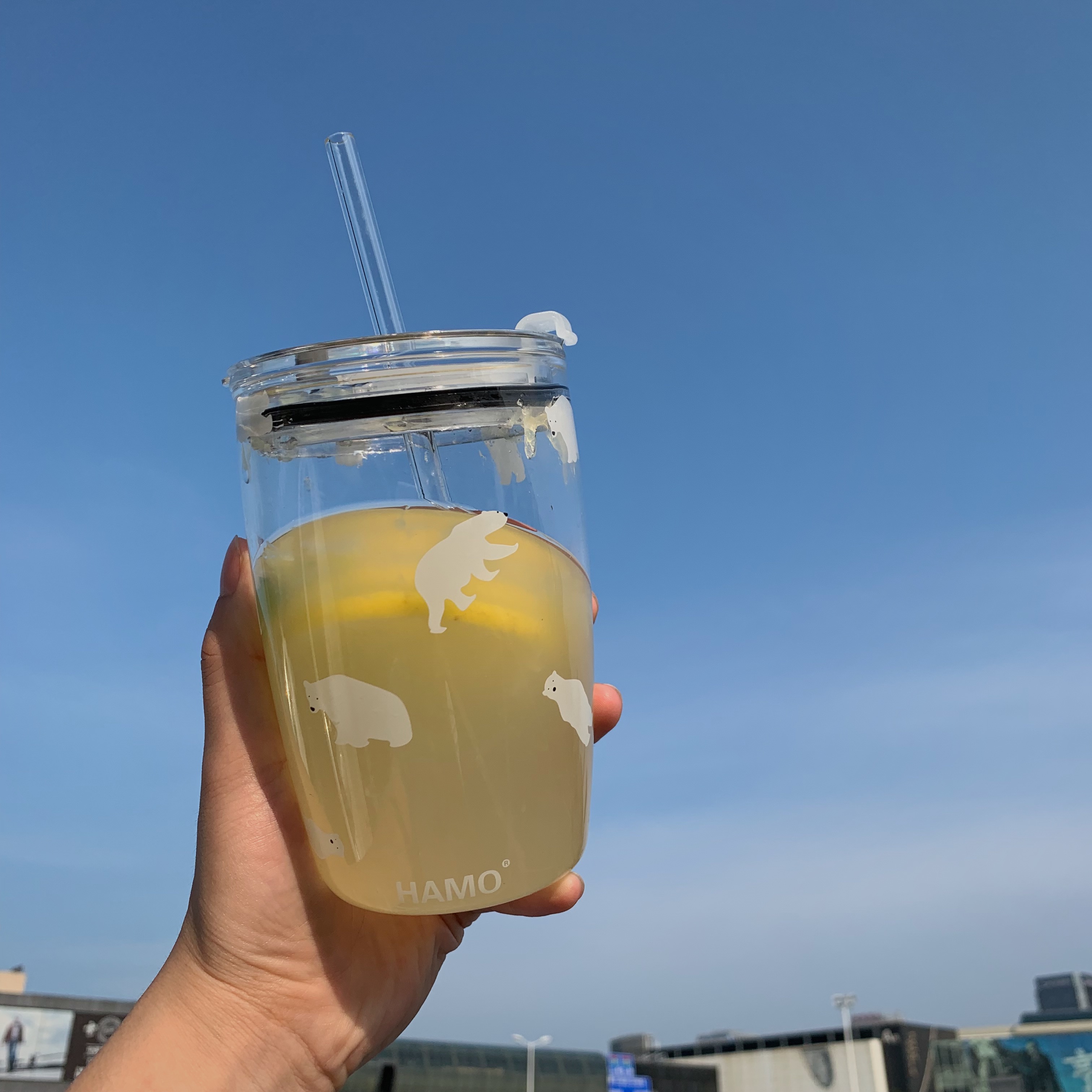 500ml带盖随身便携可爱风吸管杯