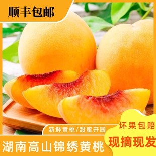 桂东黄桃 正宗湖南高山锦绣黄桃 现摘现发礼盒装新鲜水果果园直发