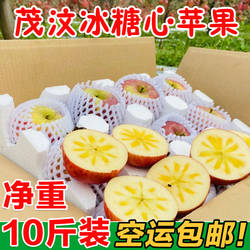 四川茂县糖心苹果阿坝州汶川冰糖心丑苹果红富士新鲜水果10斤包邮