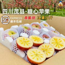 四川茂县糖心苹果阿坝州汶川冰糖心丑苹果红富士新鲜水果10斤包邮