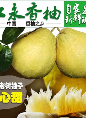 江永香柚纯甜老树冰糖沙田柚子湖南永州特产新鲜水果广西容县柚子