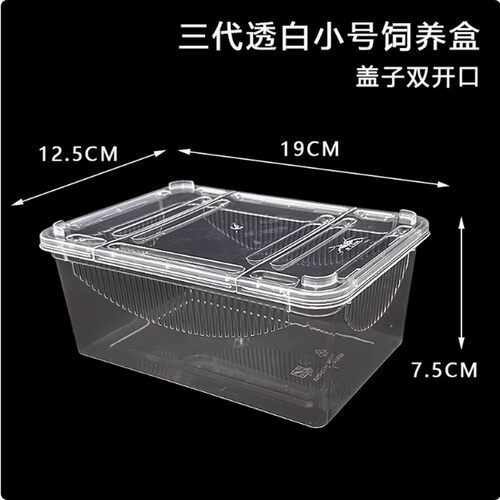 爬虫饲养盒爬宠箱龟缸蚕宝宝蜘蛛角蛙守宫盒蜥蜴蜗牛爬行宠物盒子
