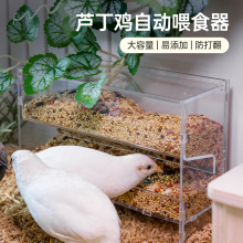 芦丁鸡自动喂食器鹌鹑小鸡食盒食盆食槽饮水喂水亚克力饲料盒用品