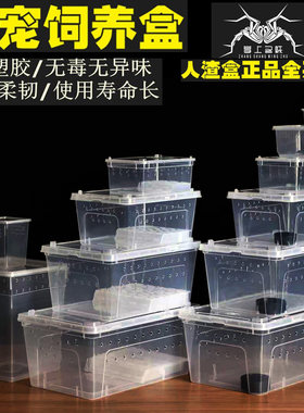 宠物饲养盒爬虫饲养箱蜘蛛守宫蜥蜴蝎子角蛙蜈蚣塑料乌龟幼体饲养