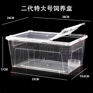 睫角守宫蜥蜴爬宠甲虫饲养盒宠物蛇蜘蛛角蛙乌龟爬虫专用箱人渣盒