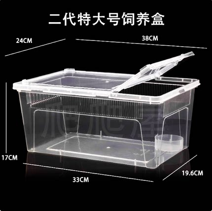 睫角守宫蜥蜴爬宠甲虫饲养盒宠物蛇蜘蛛角蛙乌龟爬虫专用箱人渣盒