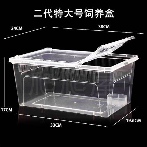 睫角守宫蜥蜴爬宠甲虫饲养盒宠物蛇蜘蛛角蛙乌龟爬虫专用箱人渣盒
