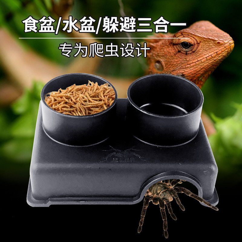 三合一水食盆躲避组合小型爬虫饲养蝎子守宫玉米蛇幼体宠物大麦虫