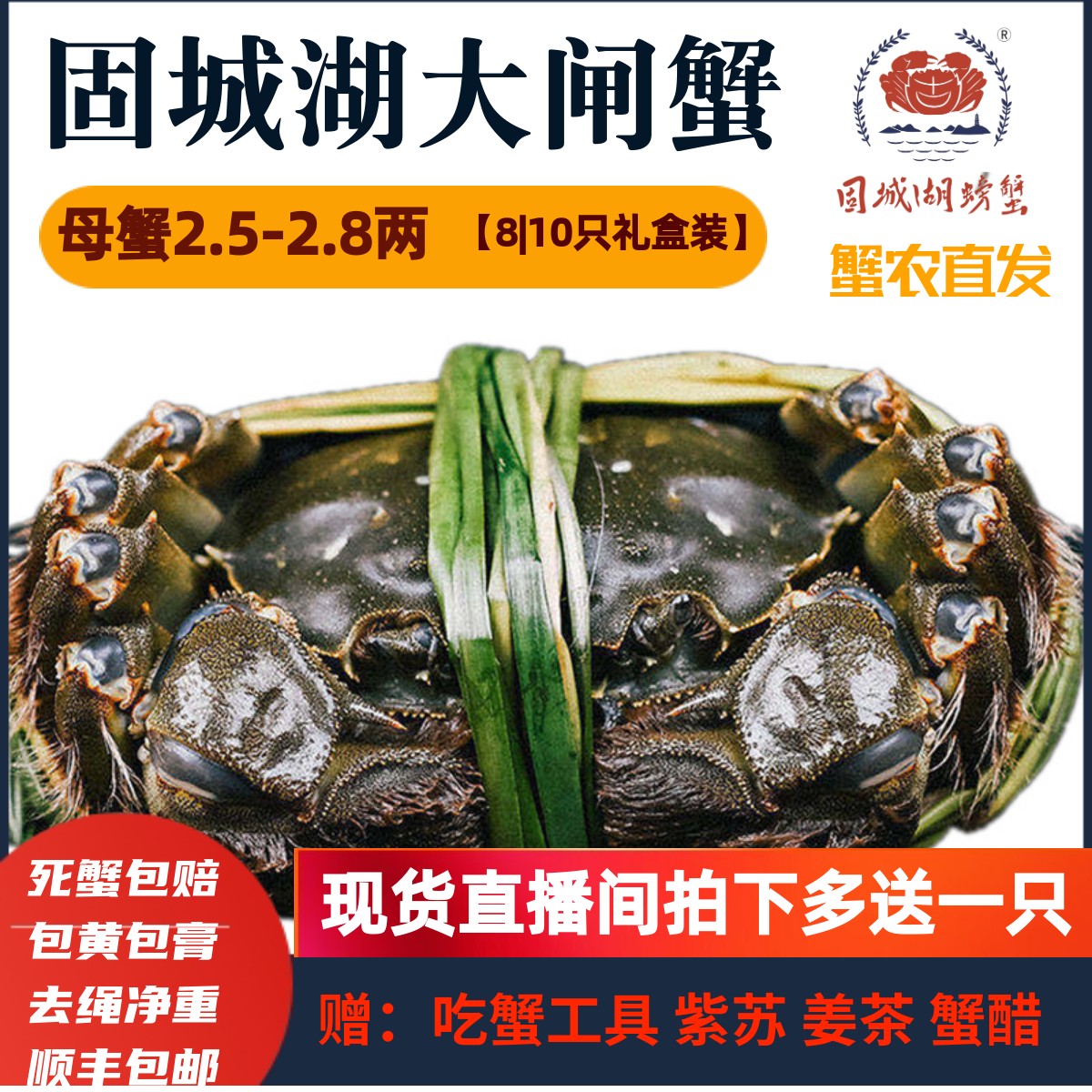 10只固城湖大闸蟹鲜活螃蟹图片