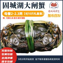 活蟹精品净重公蟹3-3.3两母蟹2-2.3两10|8只礼盒固城湖大闸蟹鲜活