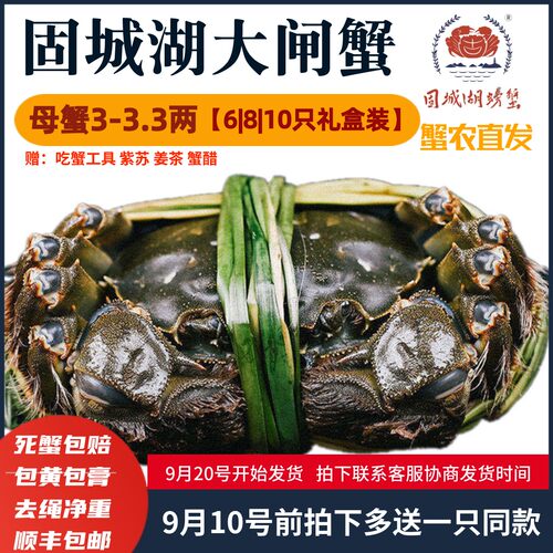 全母3两现货固城湖大闸蟹活蟹