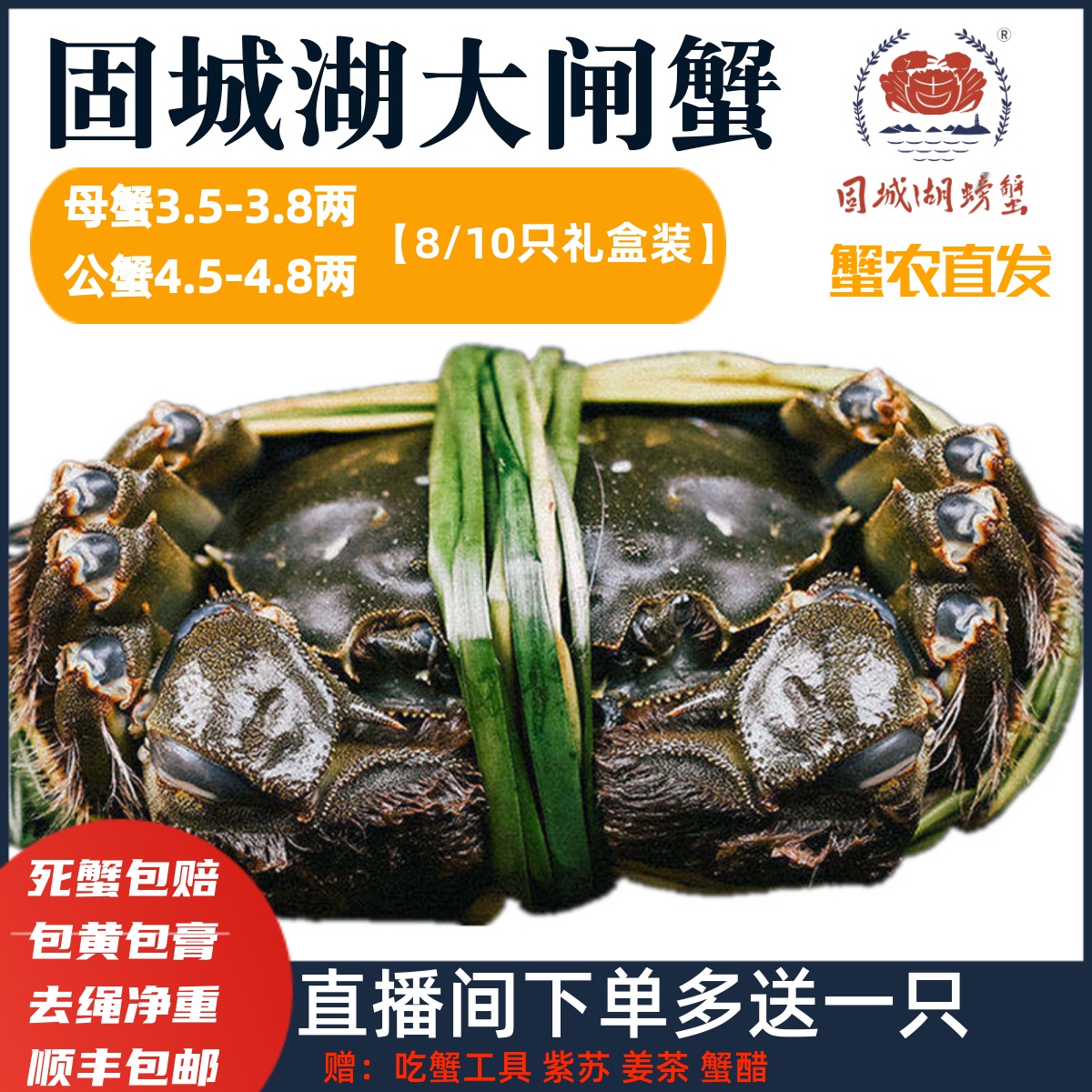 母蟹3.5两裸重螃蟹固城湖大闸蟹