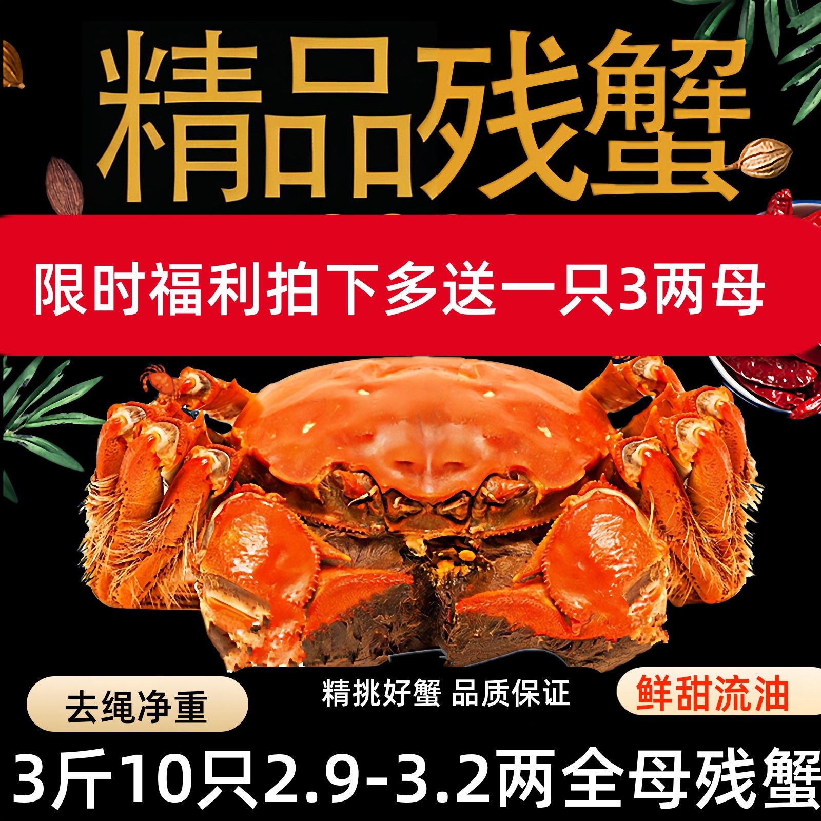 全母残蟹净重3斤10只固城湖